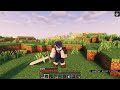 Minecraft Java Skin Transparency