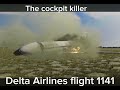 Delta airlines flight 1141: the cockpit killer ￼