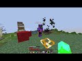 I was Unbanned on the LifeSteal SMP...