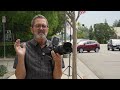 Corporate Group Shot, Quick And Easy - Lighting Tutorial