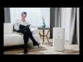 What's The Best Large Room Air Purifier (2023)? The Definitive Guide!