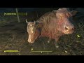 Fallout4 Gunners, Aliens and cows oh my!