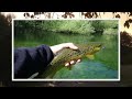 Flyfishing in Austria River Traisen near Vienna