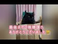 【ミニベロ】激ヤバ坂『明神～三国峠』を登ったら超キツかったという動画😺