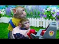 KiKi Monkey escape Amazing Maze Challenge & eat rainbow jelly with puppy in garden |KUDO ANIMAL KIKI