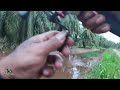 PANEN‼️STRIKE SAMPAI KUWALAHAN DI SPOT GRATISAN‼️MANCING IKAN GABUS DI KEBUN SAWIT