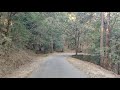 RANIKHET | A short walk through the woods  | UTTARAKHAND