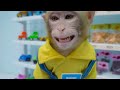 KiKi Monkey discover Rainbow Ice Cream challenge with Ducklings at swimming pool | KUDO ANIMAL KIKI