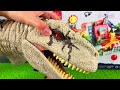 Dinosaur Jurassic World Toy Asmr Giant Carnotaurus Giganotosaurus T-rex Dino Egg Surprises