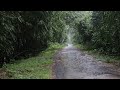 Rainstorm Sounds for Relaxing, Focus or Deep Sleep | Nature White Noise | 1 Hour Rain Video