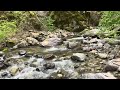 Nature's Healing Sounds: Mt. Shasta Spring Water for Calm and Peace