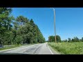 Ajelua 🇫🇮 Driving on a Finnish Summer Road 🌲🌳 #driving #finland #road #summer #summervibes