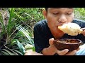 RUJAK  NANAS MUDA DI HUTAN