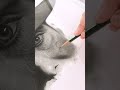Quick HACK for a perfect SKIN texture! #drawing #oppenheimer