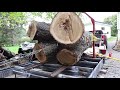 Picking up a Big Elm Log