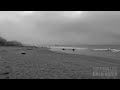 Foggy Timelapse - Avila Beach, Ca
