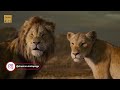 সিংহ যখন সিংহের শত্রু 🙄 The Lion king New Movie Explained in Bangla |  Movie review Bangla | Cinemon