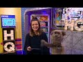 LAUREN AND HACKER LIVE ON CBBC HQ: BLOOPERS