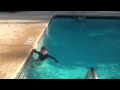 Quincy flip dives