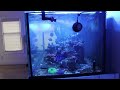 Secret to Fixing Dead Zones in Reef Tanks / Aquarium Water Flow