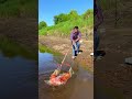 Unique Fish Trap Of Catching Many Small and Big Fish 🐟🎣#shorts #viral #fishing