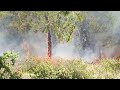 Forest Fire in Kotigram Dir Lower | کوٹیگرام سنگر کے جنگلات میں آگ لگی