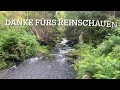 Wandern im Harz | An der Steinernen Renne entlang mit Ottofels