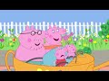 Peppa-Wutz-Geschichten | 