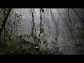 Sleep Certainly In 5 Minutes With Tropical Rainforest & Thunderstorm Sounds | Relaxing White Noise