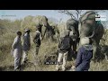 When Tokwe flattened the milk bottle #elephantdocumentary #elephantvideo