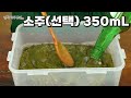 깻잎이 흔할때 만들어두면 별미중에 별미! 깻잎삭히기, 깻잎장아찌