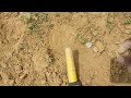 Coin found | metal detecting #detector #treasure #tamilnadu