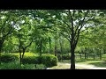 2024.5.23. HanBatSuMokWon,West  garden,rose garden 🌳🌲🍃(2)