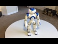 U.A.V Advertising Nao Next Gen Robot