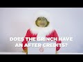 The Grinch Answers the Internet's Most Searched Questions