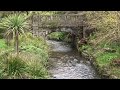 Take It - It's FREE! - Countryside River Flowing Under Bridge Video Download