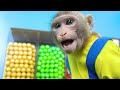 KiKi Monkey bathing in the toilet so funny with Duckling & play at swimming pool | KUDO ANIMAL KIKI