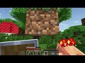 Trading for STEAMPUNK ITEMS in Minecraft