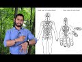 Location of Spine on Hand _ Body _ Part 10 _