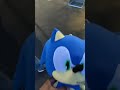 Sonic at the fair