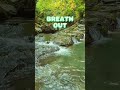 Breath in Breath out | Panta Rei#backgroundmusic #relax mindset #spiritual journey #nature sounds