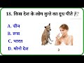 क्या खाने से कुत्ता मर जाता है? || gk question || gk in hindi || general knowledge || gk quiz || gk