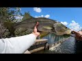 Cape coral FL canal fishing April/May 2023 *NICE FISH CAUGHT!*