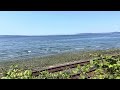 Railroad and Sea 11