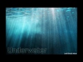 Jordi Ortolá Ankum - Underwater