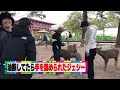 SixTONES [First Experience in Morning Activity] In a Bind Surrounded by Deers?