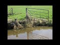 Spiegelingen in water uit de Alblasserwaard| Reflections in water by Tine de Jong NL