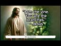 April 28 2024 Gospel Reading and Reflection: John 15:1-8 | The True Vine #gospelreflectionfortheday