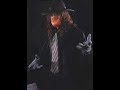 Undertaker - The Man in Black