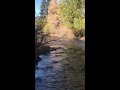 Elk crossing Bear Creek